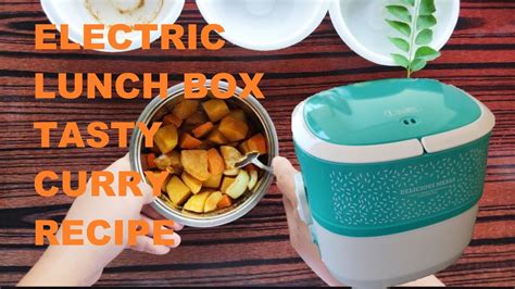 electric lunch box recipe|directly from freezer to lunch box.